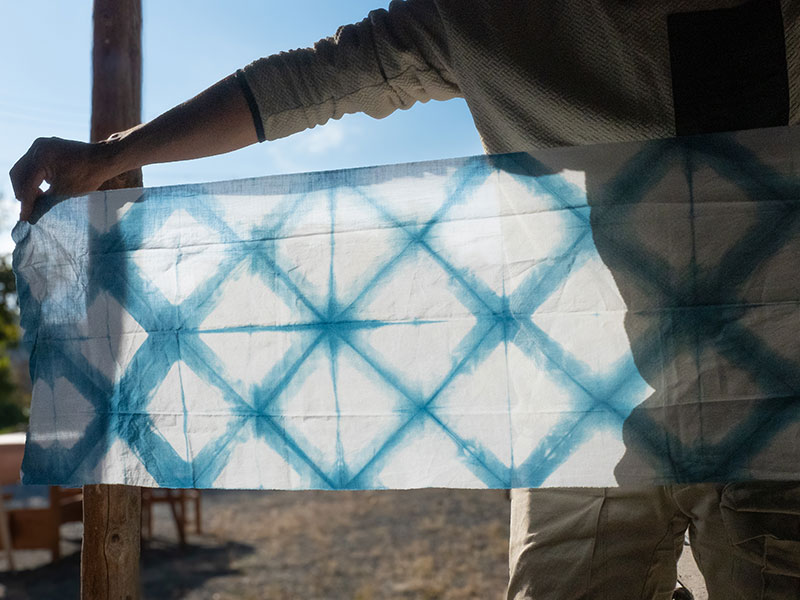 satoyama and workshop tours